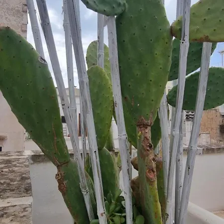 住宿加早餐酒店 Corte Moline 3*