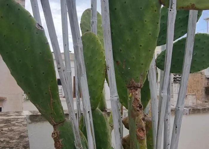 住宿加早餐酒店 Corte Moline 3*