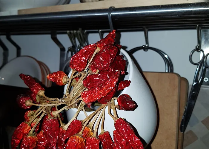 Corte Moline 3* 加利波利