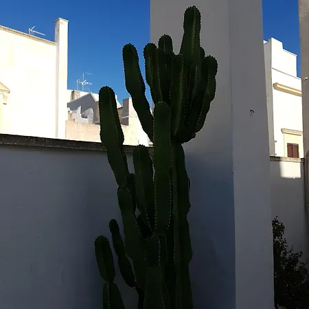 Bed & Breakfast Corte Moline