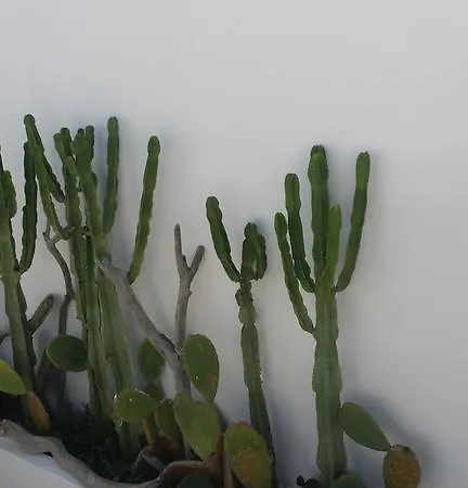 Corte Moline Bed & Breakfast