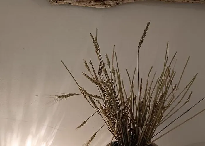 Corte Moline 3* גאליפולי