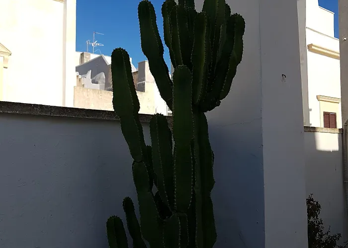 Bed and breakfast Corte Moline