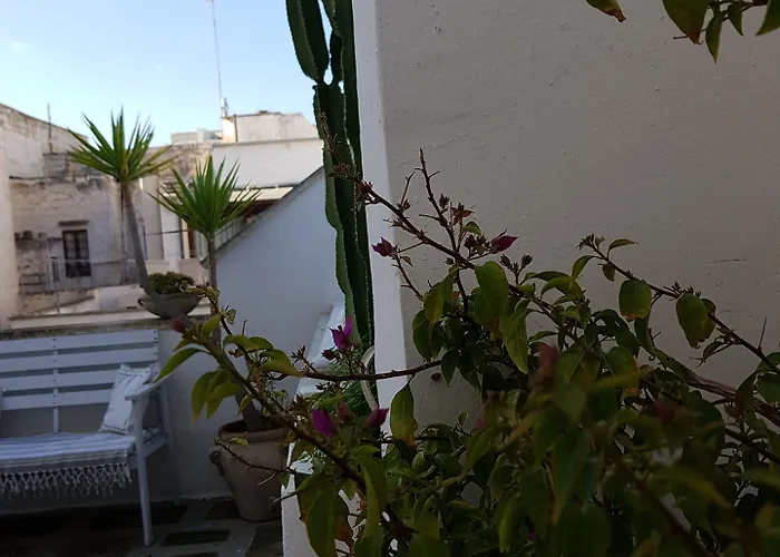 Corte Moline 3* גאליפולי