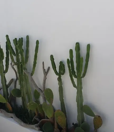 Corte Moline Bed and breakfast