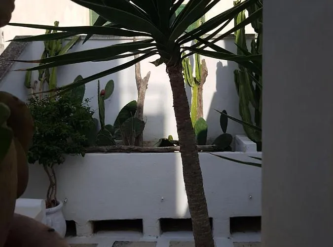 לינה וארוחת בוקר Corte Moline